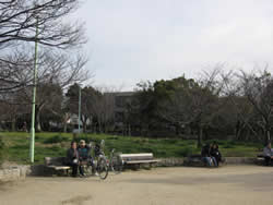 椀田公園