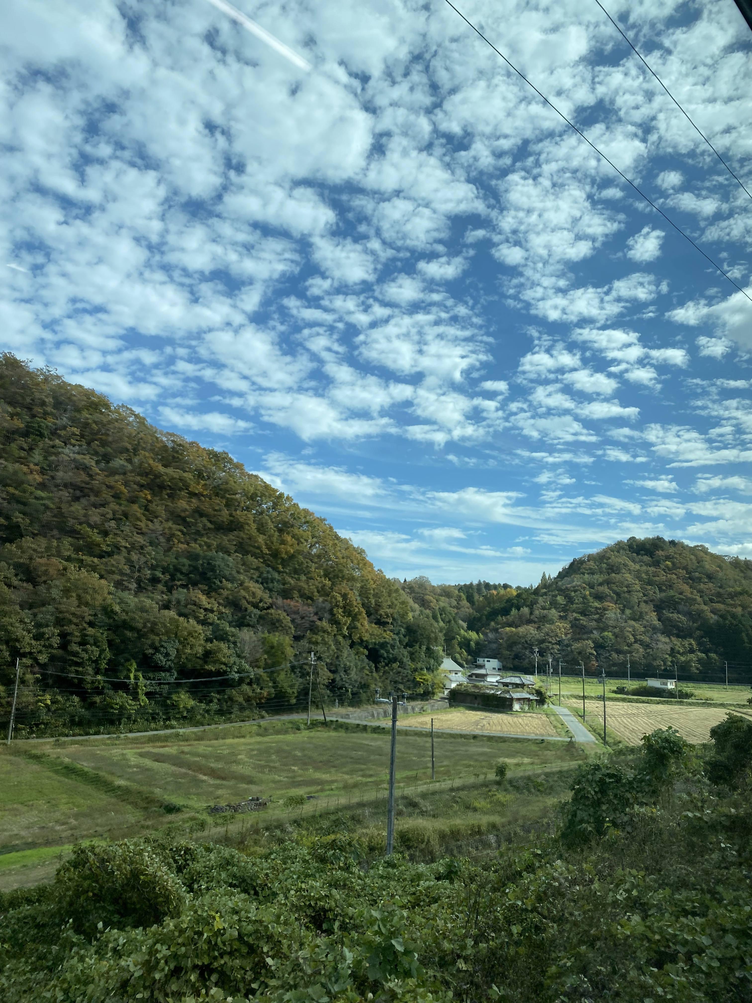 入選