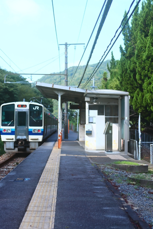 入選