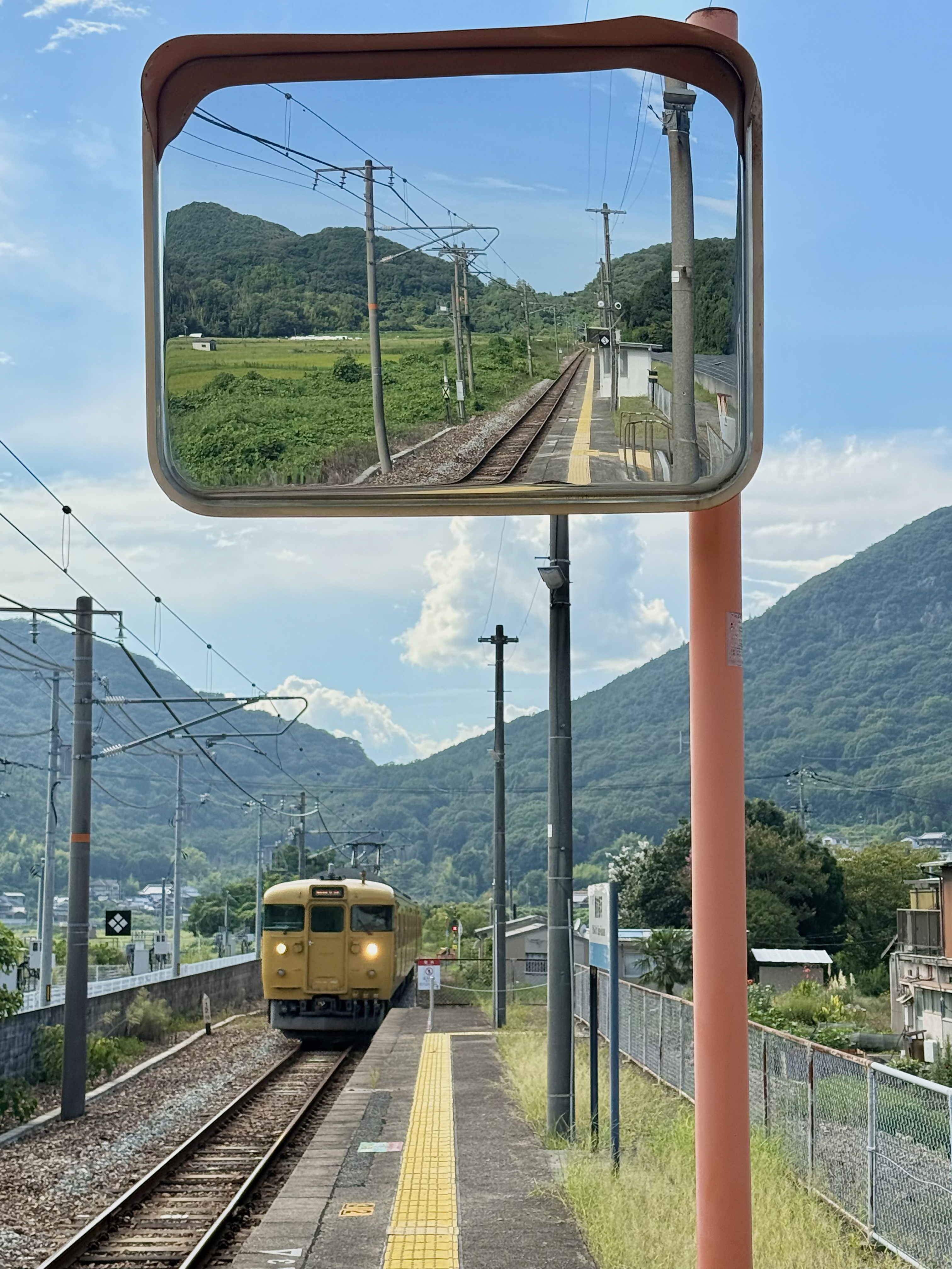 入選