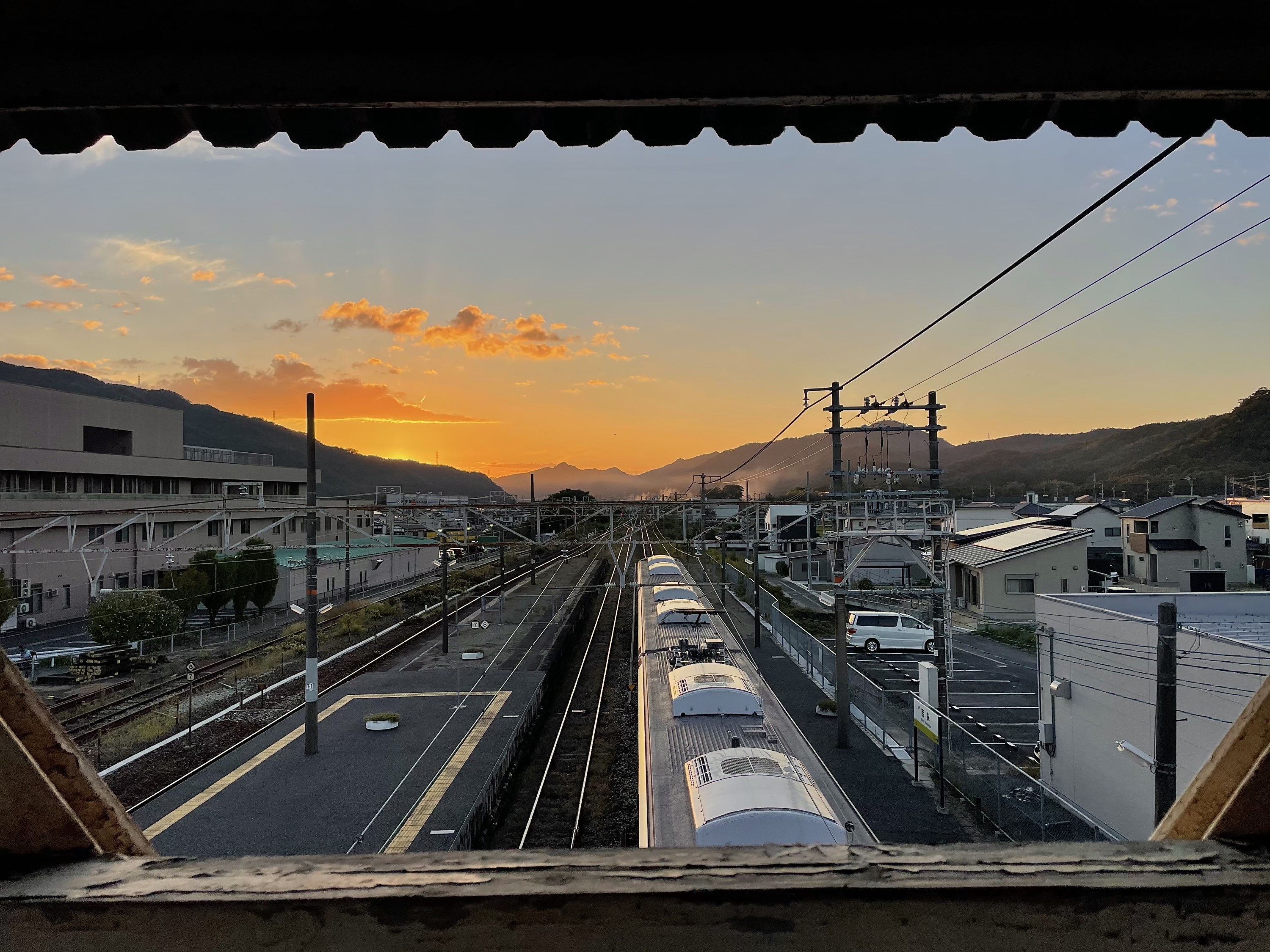 入選