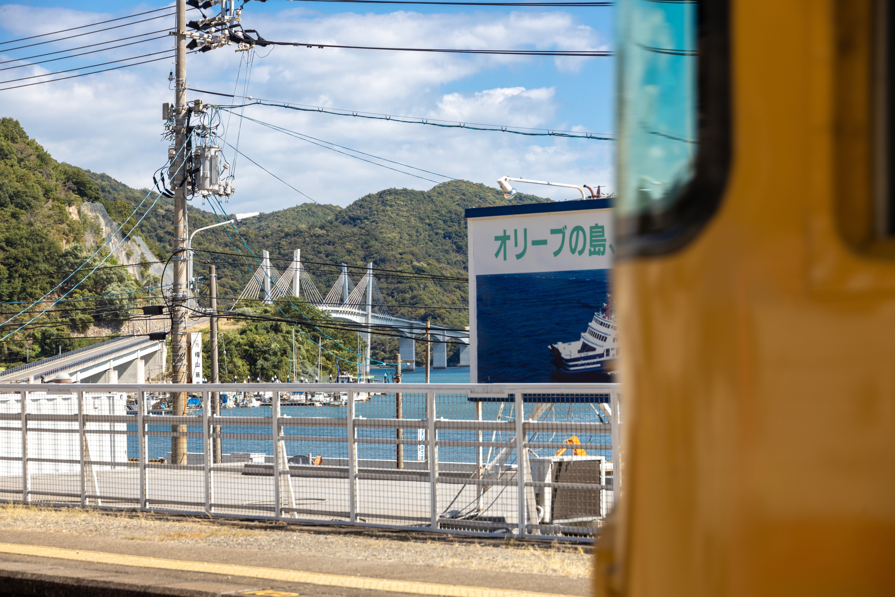 入選
